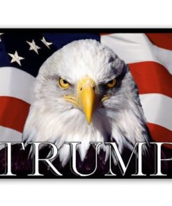 Trump for President 2016 Eagle Vinyl Sticker - Car Window Bumper Laptop - Select Size (B) Regular: 6