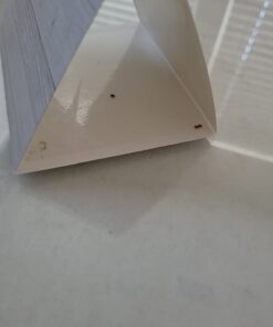 Pro Pest Pantry Moth & Beetle Traps 2 Pre-Baited Traps 24 51mvg3WtfrL