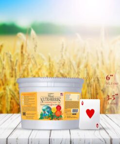 LAFEBER'S Classic Nutri-Berries Pet Bird Food, Made with Non-GMO and Human-Grade Ingredients, for Parakeets (Budgies), 4 lb 4.00 Pound (Pack of 1) 12 51my9dJqa1L