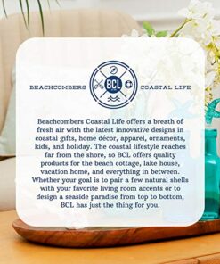 Beachcombers Set of 4 Beach Sayings Coasters Multi 4 51n1D5CtusL 2