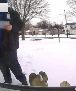 Wyze Cam 1080p Pan/Tilt/Zoom Wi-Fi Indoor Smart Home Camera with Night Vision, 2-Way Audio, Works with Alexa & the Google Assistant, White - WYZECP1 Wyze Cam Pan 67 51nMTJDAdxL