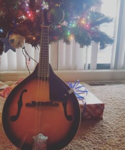 Alternative view of Savannah SA-100 A-Model Mandolin, Sunburst