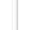 Apple Pencil (1st Generation): Pixel-Perfect Precision and Industry-Leading Low Latency, Perfect for Note-Taking, Drawing, and Signing documents. USB-C Adapter 28 51oaOVMYtL