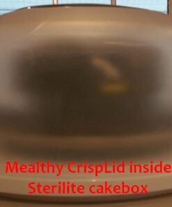 STERILITE Cake Server, 1 pack, White 45 51oxzvqiLNL