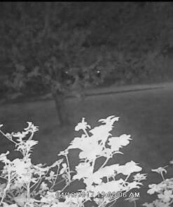 ZOSI 1080P HD 1920TVL Hybrid 4-in-1 TVI/CVI/AHD/960H CVBS CCTV Surveillance Weatherproof Bullet Security Camera Outdoor Indoor,120ft Night Vision,For HD-TVI,AHD,CVI and CVBS/960H analog DVR Wired-1Cam 46 51p NiU7UWL