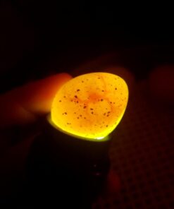 HBlife Bright Cool LED Light Egg Candler Tester for Watching Eggs Development, with 2 Soft Rubber Attachments for Eggs, Powered by Power Cord Only 27 51p4CDUAbNL