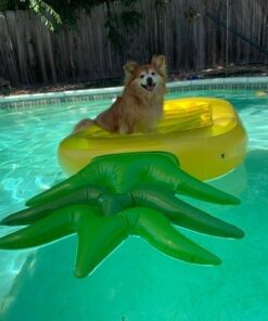 VICKEA Inflatable Pool Floats for Kids and Adults, Large Water Inflatable Pineapple Pool Float for Swimming Pool 30 51pFCrDN8EL