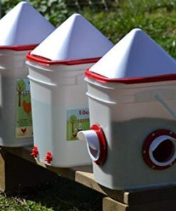 RentACoop 20lb BPA-Free Chicken Feeder with Large Ports - Includes Lid, Anti-Roost Cone, Ports, Rain Hoods - Suitable for Chickens - Corner Placement 24 51pNol4XzIL