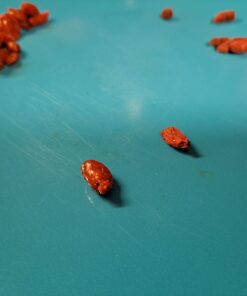 Organic Dried Goji Berries - Non-GMO and Vegan Goji Berries Organic, Perfect for Baking, Teas and Healthy Snacks for Adults (1 lb) 1 Pound (Pack of 1) 27 51pWLNdao L