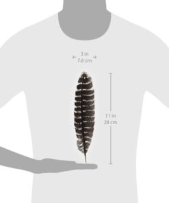 Alternative view of Incense Garden Grade A Barred Turkey Smudging Feather (no Stains, cuts, Pieces Missing)