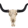 Long Horn Cow Skull Wall Hanging Longhorn Steer 9 51phEZdPvDL