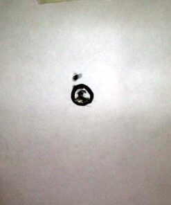 Daisy Powerline 880 Air Rifle 14 51pwfBR3hfL