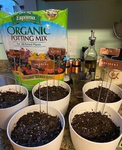 Espoma Organic Potting Soil Mix - All Natural Potting Mix For All Indoor & Outdoor Containers Including Herbs & Vegetables. For Organic Gardening, 8qt. bag. Pack of 1 53 51q2In4UaZL