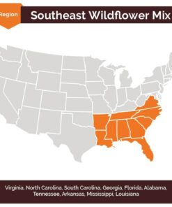 Eden Brothers Southeast Wildflower Mixed Seeds for Planting, 1 lb, 480,000+ Seeds with Cornflower, Blanket Flower | Attracts Pollinators, Plant in Spring or Fall, Zones 3, 4, 5, 6, 7, 8, 9, 10 1 Pound 32 51qKYDnvqlL