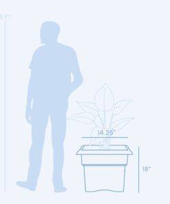 Bloem Veranda Deck Box Planter Square: 18" - Black 18" 26 51qWJA0iUQL