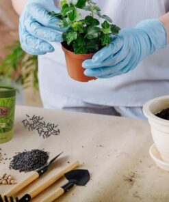 EarthPods Organic Indoor Plant Fertilizer Spikes – All Purpose House Plant Food Sticks (100 Concentrated Capsules) – Potted Plants – Easy: Push in Soil & Water – Made in USA Indoor Plant Food Fertilizer 48 51qeDtMayOL