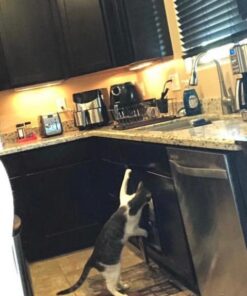 Baby Safety Cabinet Locks 12 Pack White-GRANDOTO Baby Proofing & Child Safety Cabinets Drawer Locks,DIY Easy to Install,No Tooling, Stronger Safety! 21 51qf2grizrL