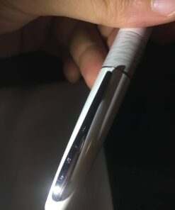 PILOT MR Animal Collection Fountain Pen in Gift Box, Matte White Barrel with White Tiger Accent, Fine Point Stainless Steel Nib, Refillable Black Ink (91141) 1 Count (Pack of 1) 18 51rOK2xZr0L