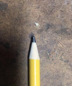 IRWIN Carpenter Pencil Sharpener (233250) 1 20 51rY9Al3QZL