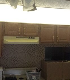 Lepro 12V LED Strip Light, Flexible, SMD 2835, 16.4ft Tape Light for Home, Kitchen, Party, Christmas and More, Non-Waterproof, Warm White(Not Include Power Adapter) 16.4 ft 43 51riSy5yRhL