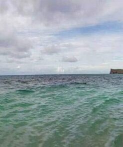 Bestway Hydro Force Tropical Breeze Raft Blue/White 23 51rtWndAxnL