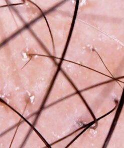 Natrol Biotin Beauty Tablets Promotes Healthy Hair Skin and Nails Helps Support Energy Metabolism Helps Convert Food Into Energy Maximum Strength 10000mcg, Multi, 200 Count 37 51s1pgRWDEL