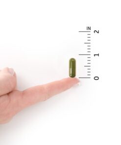 Garden of Life Vitamin D, Vitamin Code Raw D3, Vitamin D 5,000 IU, Raw Whole Food Vitamin D Supplements with Chlorella, Fruit, Veggies & Probiotics for Bone & Immune Health. 60 Vegetarian Capsules 27 51s4II4cTIL