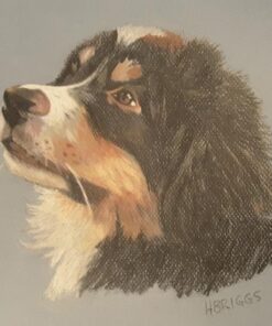 Derwent Colored Drawing Pencils, Metal Tin, 24 Count (0700672) 24 Count (Pack of 1) 36 51s7fbYiL