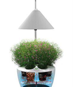 Smarson Indoor LED Light Hydroponic Garden, Grow Herbs, Vegetables and Flowers, Large, White 15 51sOcegLzVL
