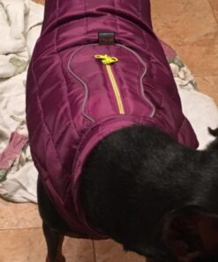 Kurgo Loft Dog Jacket, Reversible Dog Coat, Wear with Harness or Sweater, Water Resistant, Reflective, Winter Coat For Medium Dogs (Deep Violet, M) Deep Violet/Charcoal 44 51sVBZYV2UL