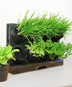 Alternative view of Watex Countertop Garden Kit, Black, Indoor Garden