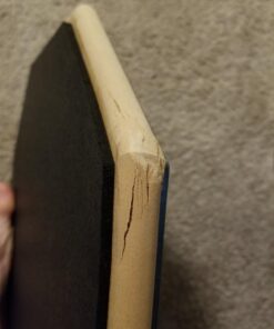 Evans RealFeel - Drum Practice Pad - Drum Pad - Drummer Practice Pad - Gum Rubber & Neoprene, 2 Sided, 12 Inch 2-Sided 41 51suiOsq0ZL