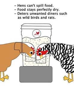 RentACoop 20lb BPA-Free Chicken Feeder with Large Ports - Includes Lid, Anti-Roost Cone, Ports, Rain Hoods - Suitable for Chickens - Corner Placement 20 51svVTFqHiL