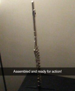 Mendini By Cecilio Flutes - Closed Hole C Flute For Beginners, 16-Key Flute with a Case, Stand, Lesson Book, and Cleaning Kit, Musical Instrument for Kids, Nickel Plated 19 51tONjC HWL