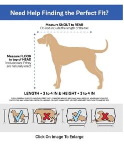 Petmate Sky Kennel Pet Carrier, 36 Inch, Made in USA 36.0"L x 25.0"W x 27.0"H 52 51u0Q97qI2L