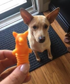 TrueZoo Corki Bottle Stopper, Corgi Animal Cork, Novelty Wine Stopper, Silicone, Set of 1, Orange 28 51u0RDISUnL