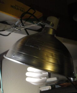 ePhoto Hydroponic Full Spectrum CFL Grow Light Bulb 60 Watt Bulb 5500K H60 18 51uA7u1n7PL