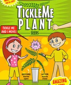 TickleMe Plant Seed Packets (3) and Free Complete Care Book - Grow The Only Plant That Closes Its Leaves When You Tickle It | Adult TickleMePlant can Also Produce Pink Cotton Flowers | 12 51uEri3M L