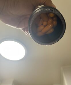 Sports Research L-Theanine Supplement with Caffeine & Coconut MCT Oil - Focused Energy, Alertness & Relaxation Without Drowsiness - 200mg L Theanine, 100mg Organic Caffeine - 60 Liquid Softgels 20 51uMry39rDL