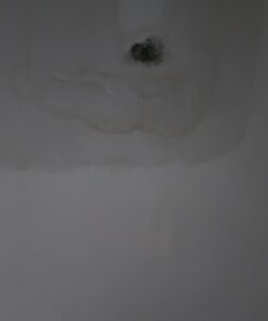 Zinnser 03688 Covers Up Stain Sealing Ceiling Paint, White 13 Ounce (Pack of 1) Spray Can 39 51uP3NfM2HL