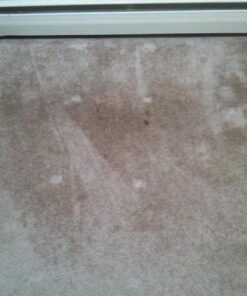 Carpet Miracle - Carpet Cleaner Shampoo Solution for Machine Use, Deep Stain Remover and Odor Deodorizing Formula, Use On Rug Car Upholstery and Carpets (32FL OZ) Spring Mint Scent 32 Fl Oz (Pack of 1) 50 51uQsFGRpoL