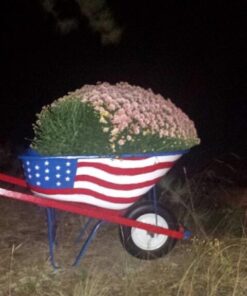 Universal Fit, Flat Free Wheelbarrow Tire and Wheel Assembly with Adapter Kit 56 51ul4eyw0JL