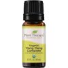 Plant Therapy Ylang Ylang Complete Organic Essential Oil 100% Pure, Undiluted, Natural Aromatherapy, Therapeutic Grade 10 mL (1/3 oz) 10 51upz2NVWrL