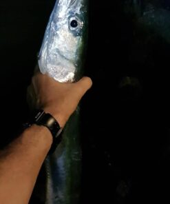 Alternative view of SPRO SBTJW-1 Prime Bucktail Jig, 1-Ounce, White