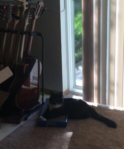 Catit Cat Scratcher, Wide Cat Board 25 51w0TdKuPgL