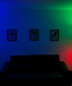 Govee Smart Light Bulbs, WiFi Bluetooth Color Changing Light Bulbs, Music Sync, 54 Dynamic Scenes, 16 Million DIY Colors RGB Light Bulbs, Work with Alexa, Google Assistant Home App, 4 Pack Multi-colored 4 Count (Pack of 1) 33 51w5khQ78CL