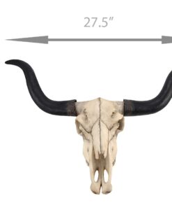 Long Horn Cow Skull Wall Hanging Longhorn Steer 24 51w6fhbkHfL