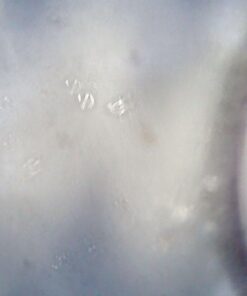 USB Digital Microscope, Teslong 10X to 200X Magnification Camera with Stand, Portable Handheld Electronic Coin Magnifier, Soldering Camera Ear Otoscope 44 51wCLrYIgrL