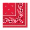 Western Bandana Luncheon Napkins (Pack of 3) 5 51wsMAhQzFL