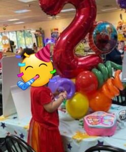 Elmo and Friends 2nd Birthday Supplies Decorations Balloon kit 28 51x6njp1TdL